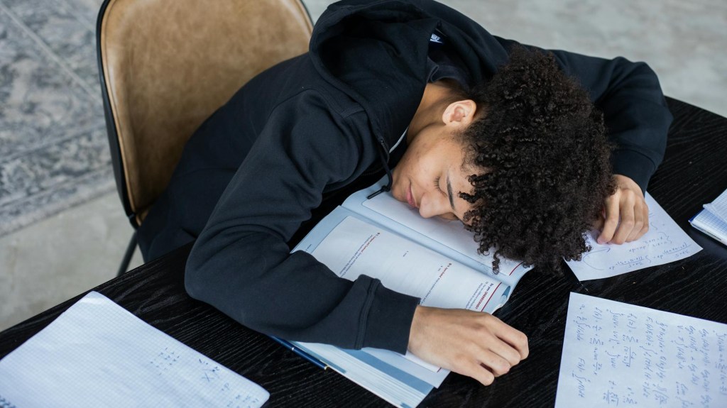 La sieste, vrai ou fausse bonne idée&nbsp;?